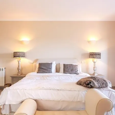 Luxurious & Famous Of Dutch Tv Show * Budens
